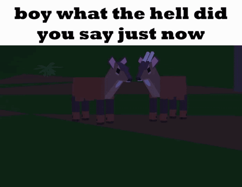 Boy Asking What Did You Say Deer