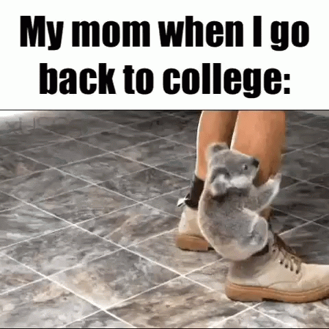 Boy Carrying Books And Backpack Saying College GIF