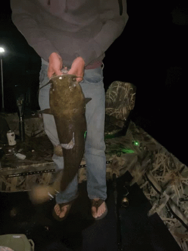 Boy Catches Catfish GIF