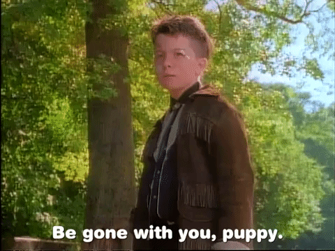 Boy Folded Some Type Of Brochure With Puppy GIF