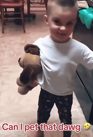 Boy Holding Stuffed Animal Saying Can I Pet That Dawg