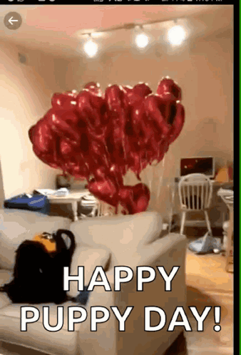 Boy In Red Shirt Sitting On Concrete Block GIF