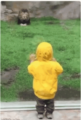 Boy In Yellow Raincoat Watching Monkey GIF