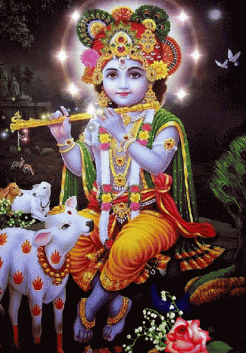 Boy Playing Flute With Cow
