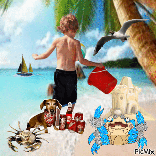 Boy Playing on Beach with Dog, Crab, and Diet Coke