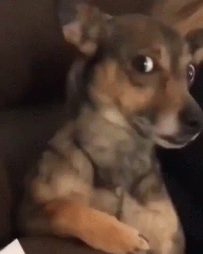 Boy Saying Don't Dm Me Don't React Me We're Done