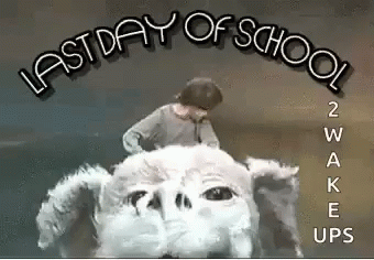Boy Standing on Stuffed Animal Last Day of School