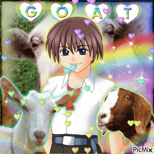 Boy Surrounded by Goats With Hearts