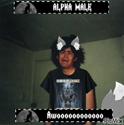 Boy Wearing Alpha Male Shirt GIF