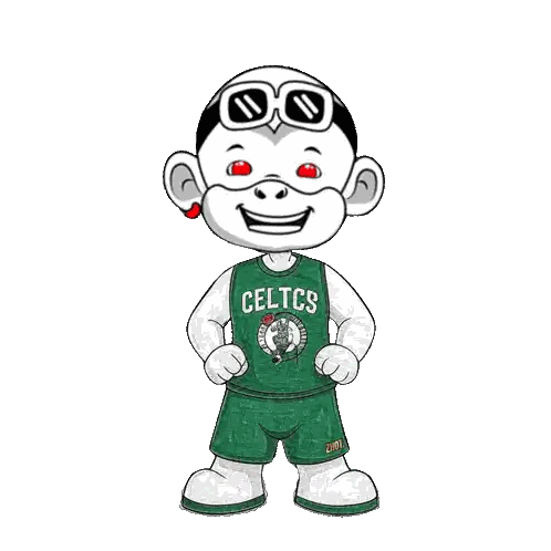 Boy Wearing Celtics Jersey