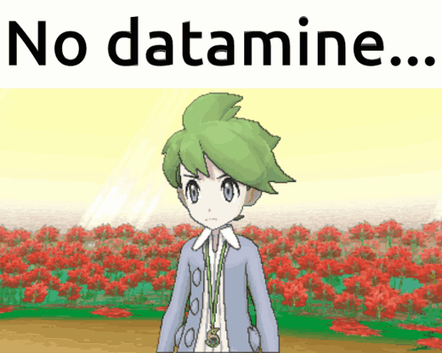 Boy With Green Hair in Front of Red Flowers Saying No Datamine