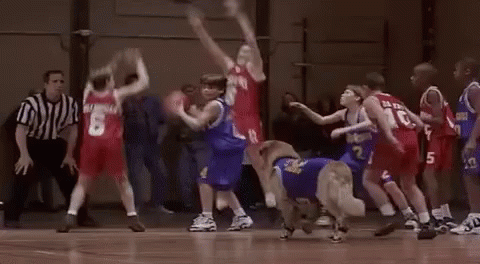 Boys Playing Basketball With Dog In Blue Jersey Number 2 GIF
