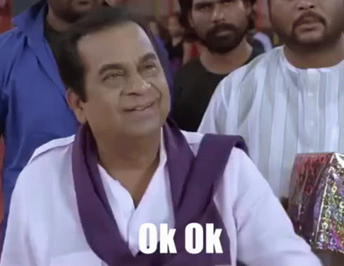 Brahmi Ok Ok Don't Worry GIF