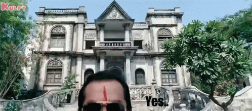 Brahmi Shades Off Yes GIF