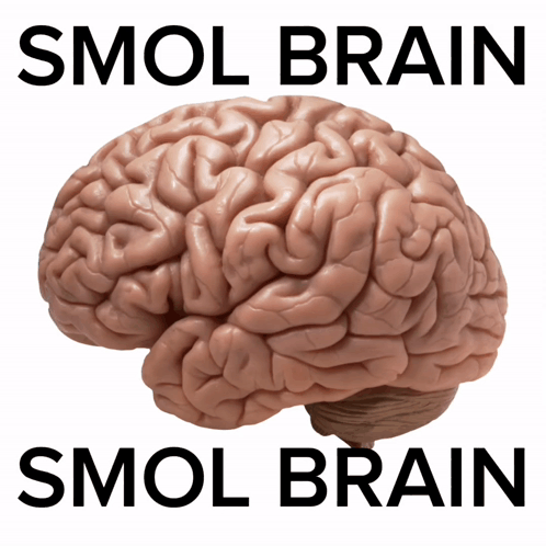 Brain Saying Smol Brain