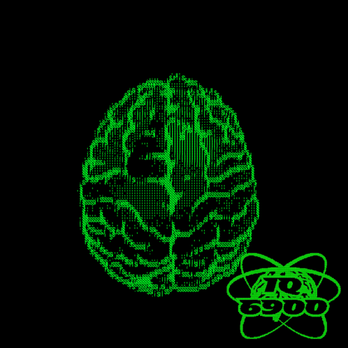 Brain With Numbers 6900