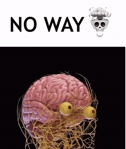 Brain With Skull Saying No Way