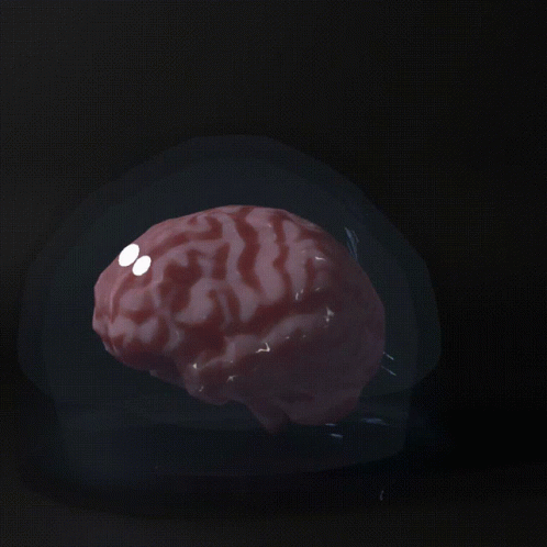 Brain With Two White Circles