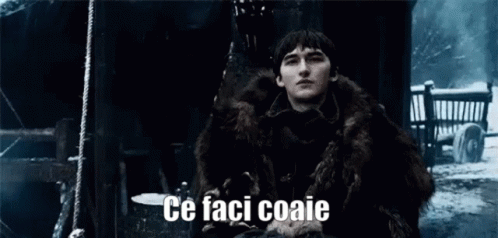 Bran Stark From Game Of Thrones Is Wearing A Fur Coat And A Fur Coat . GIF