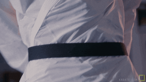 Brandishing Cotton Black Belt GIF