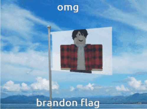 Brandon Flag With Person GIF