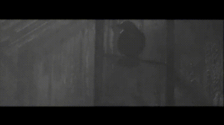 Brandon Lee Cat Flashback GIF