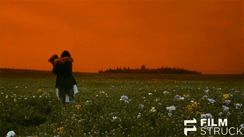 Brandon Lee The Crow Lover GIF