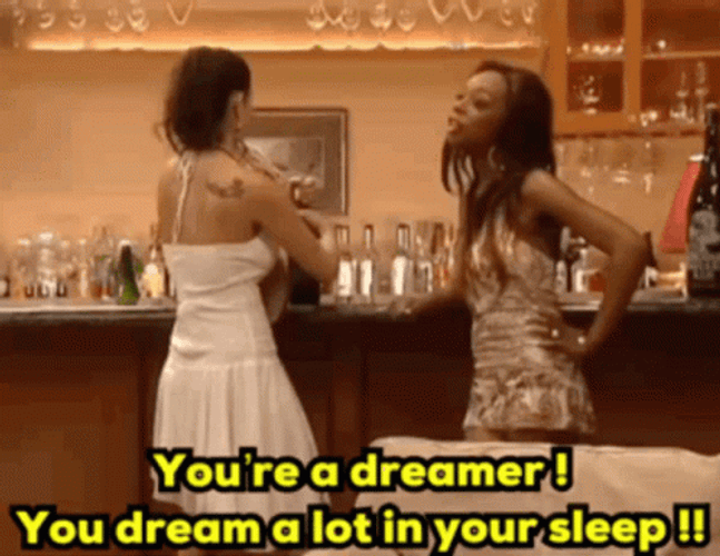 Brash Tiffany Pollard Your A Dreamer GIF