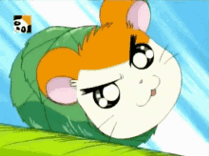 Brave Anime Hamster Pet Rolling Hamtaro GIF