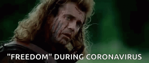 Braveheart Freedom Mel Gibson Corona Virus Meme GIF