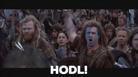 Braveheart Hold Hodl Meme By Mel Gibson GIF