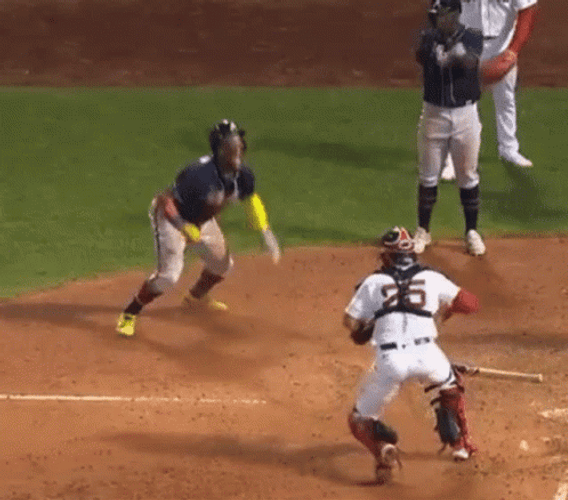 Braves Ronald Acuna Jump Fight GIF