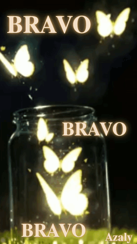 Bravo Poster GIF