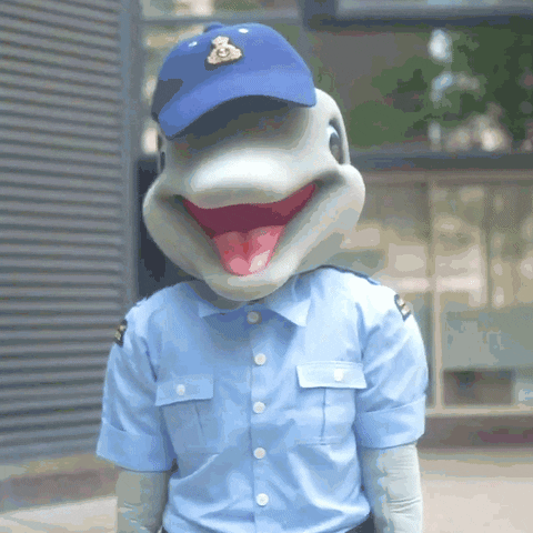 Bravo Zulu Coast Guard GIF