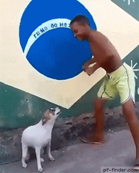 Brazil Dance Dog Gif GIF