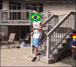 Brazil Flag Getting Bullied Meme GIF