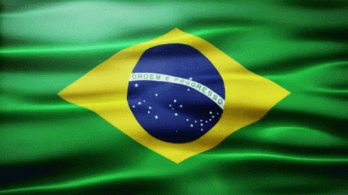 Brazil Flag Ordem E Progresso GIF