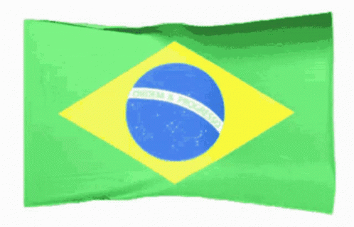 Brazil Flag Ordem Progresso GIF