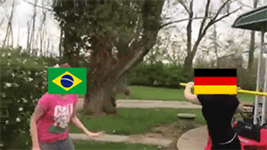 Brazil Meme Flag Fighting With Germany GIF