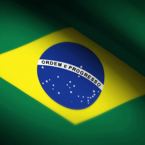 Brazilian Flag Ordem E Progresso GIF