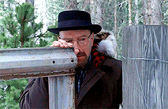 Breaking Bad Walter White Fugitive Gate GIF