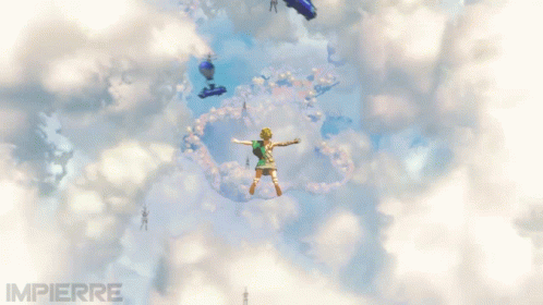 Breath Of The Wild Totk GIF