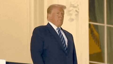 Breathing President Donald Trump GIF