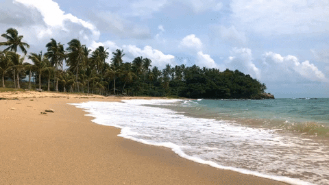 Breathtaking View Of Ocean Waves At Coast GIF
