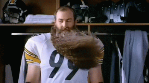 Brett Kiesel Hairy Beard GIF