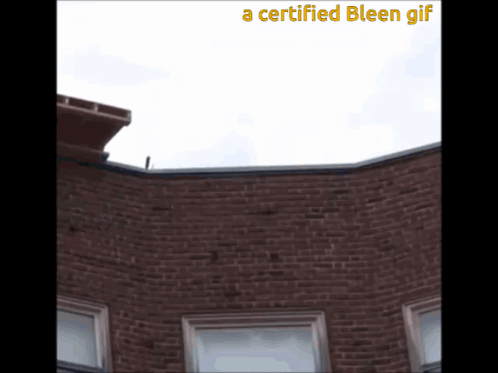 Brick Building With Certified Bleen GIF