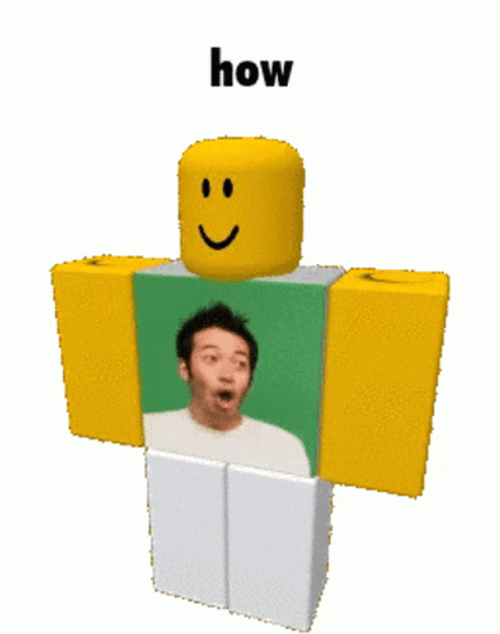 THIS IS FAKE ROBLOX - Brick Hill