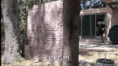 Brick Wall Saying LFG