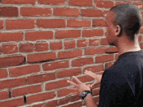Brick Wall Talking To Wall Gif GIF