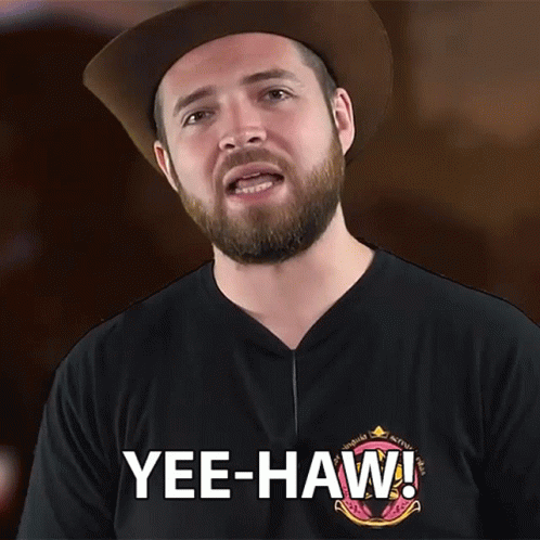 Bricky Cowboy Yeehaw GIF